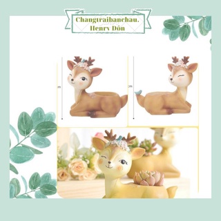 Chậu hươu sao dễ thương trồng cây