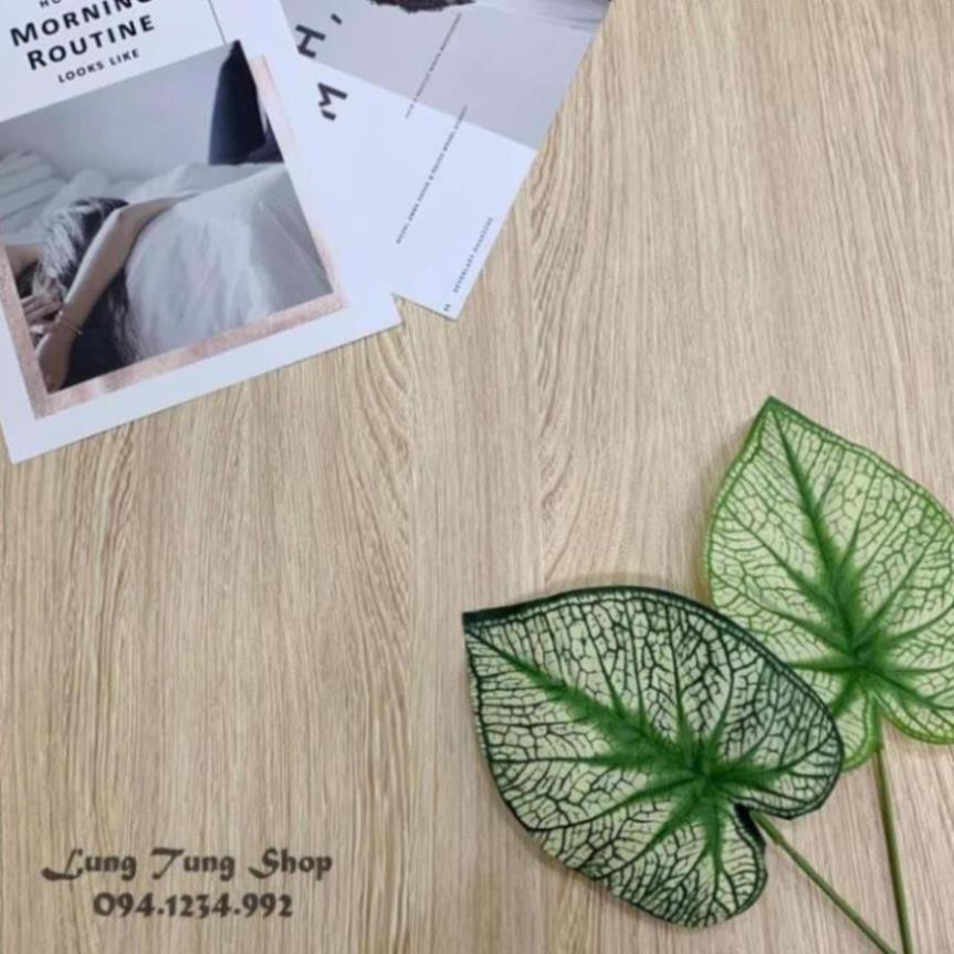 Phông nền giấy dán tường vân gỗ G4 - Thảm chụp hình vân gỗ , decal dán tường bàn tủ có sẵn keo