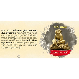 Bộ Thái Tuế Cải Vận Nhâm Dần 2022