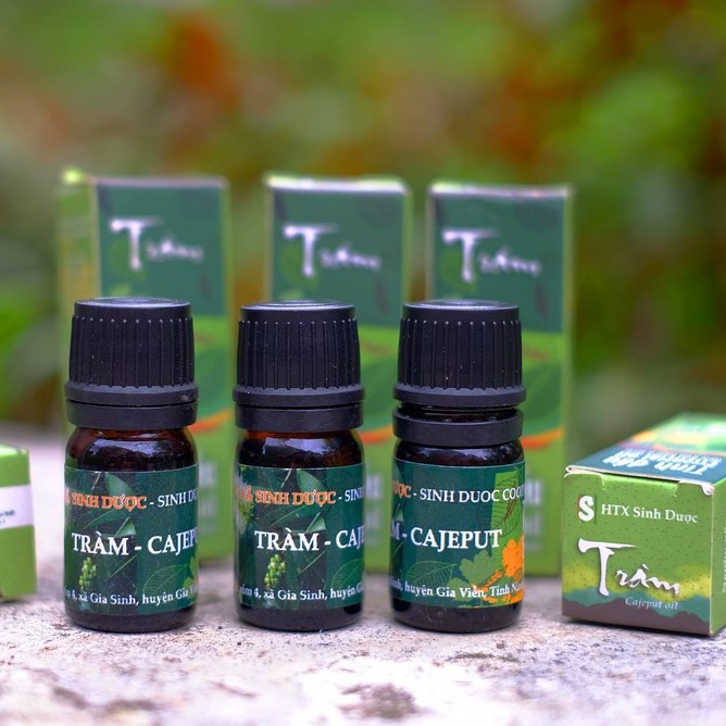 Tinh dầu Tràm nguyên chất từ Hợp Tác Xã Sinh Dược - 5ml