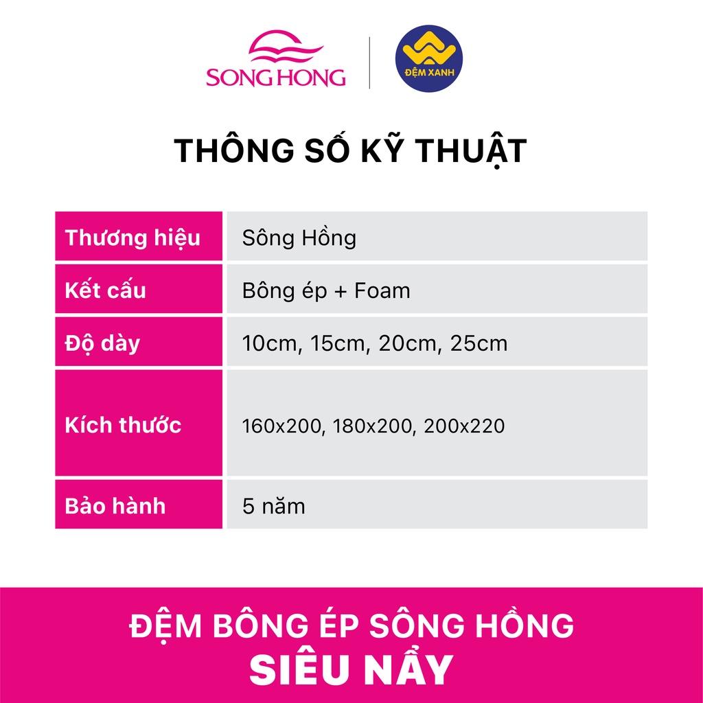 Đệm Sông Hồng siêu nẩy gập 2 - Bảo hành chính hãng 5 năm