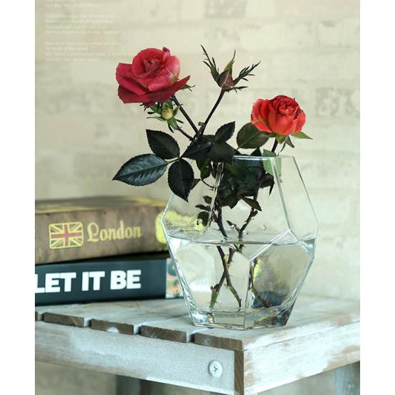 Bình hoa thủy tinh kim cương Bắc Âu PT008-2