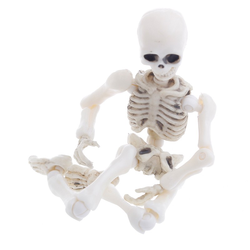 Mô Hình Bộ Xương Người Có Thể Di Chuyển Được Dành Cho Tiệc Halloween