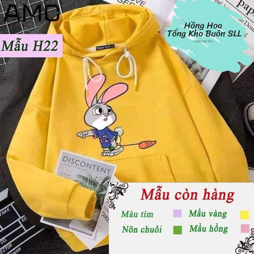 Sỉ 10 áo Hoodie lót nỉ bông, freesize dưới 55kg