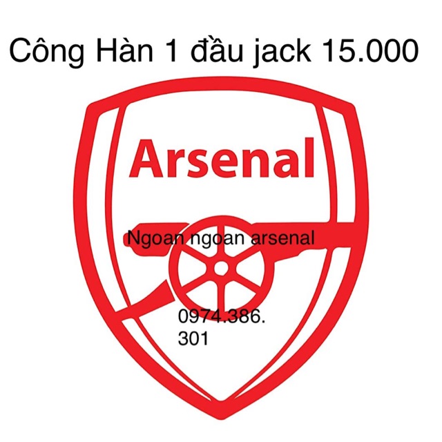 Công Hàn hoặc bắt vít 1 đầu jack rắc tín hiệu. Báo giá công cho 1 jack.