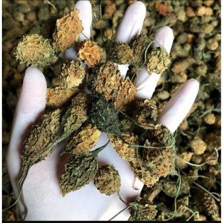 trái khổ qua rừng( mướp đắng) nguyên chất loại 1👌(300gram/500gram/1kg)