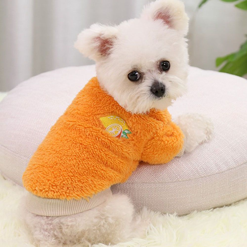 Áo len giữ ấm nhiều kích thước xinh xắn dễ thương cho thú cưng