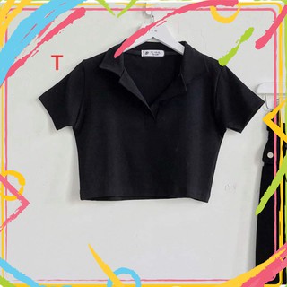 Áo PLO CROPTOP TRƠN TT12