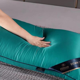 [XẢ KHO+FREE SHIP] COMBO 02 RUỘT GỐI HILTON CAO CẤP