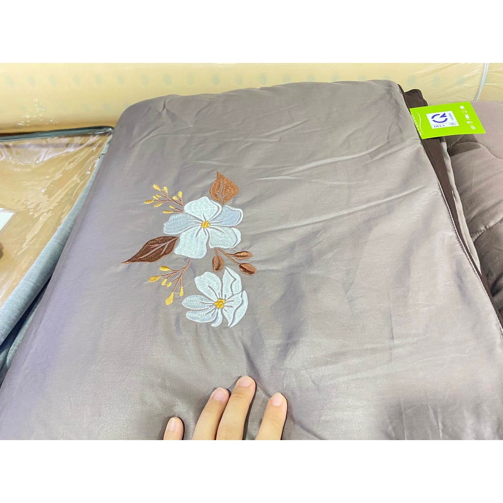 Bộ Drap chun chần EVERON MDSC090