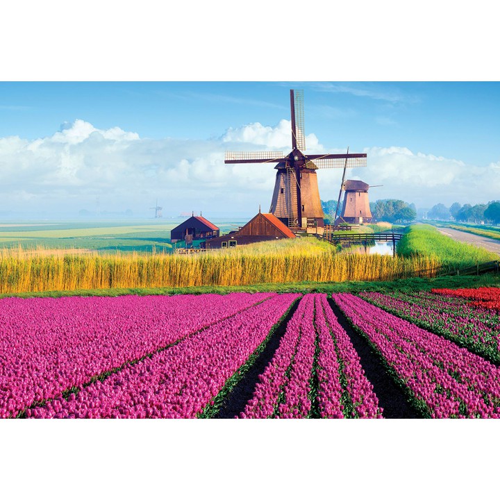 Tranh xếp hình Jigsaw Puzzle giải tỏa stress Tia Sáng 2035 mảnh - ĐẤT NƯỚC HÀ LAN - MSP: 2035-014