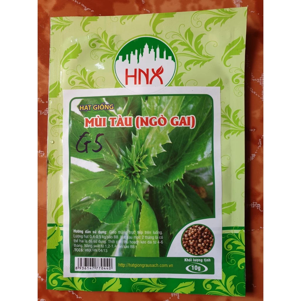 Hạt giống rau Mùi tàu răng cưa dễ trồng, tỉ lệ nảy mầm >95%, kháng sâu bệnh