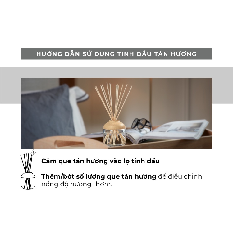 Tinh dầu tán hương Yankee Candle có 3 mùi tùy chọn (120ml)