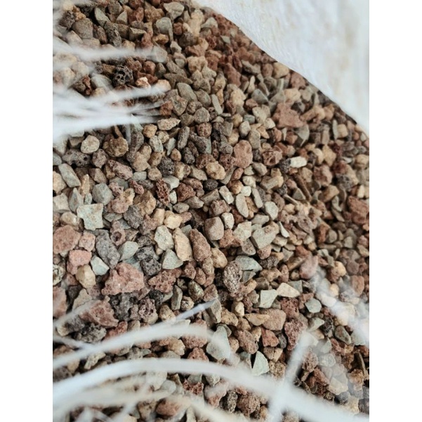 Đá 7 màu(cầu vòng ) trồng sen đá