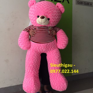 Gấu Teddy 1m6 - Gấu bông Teddy khổ m6
