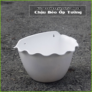 Chậu ốp tường bèo bằng nhựa cỡ 23 cm