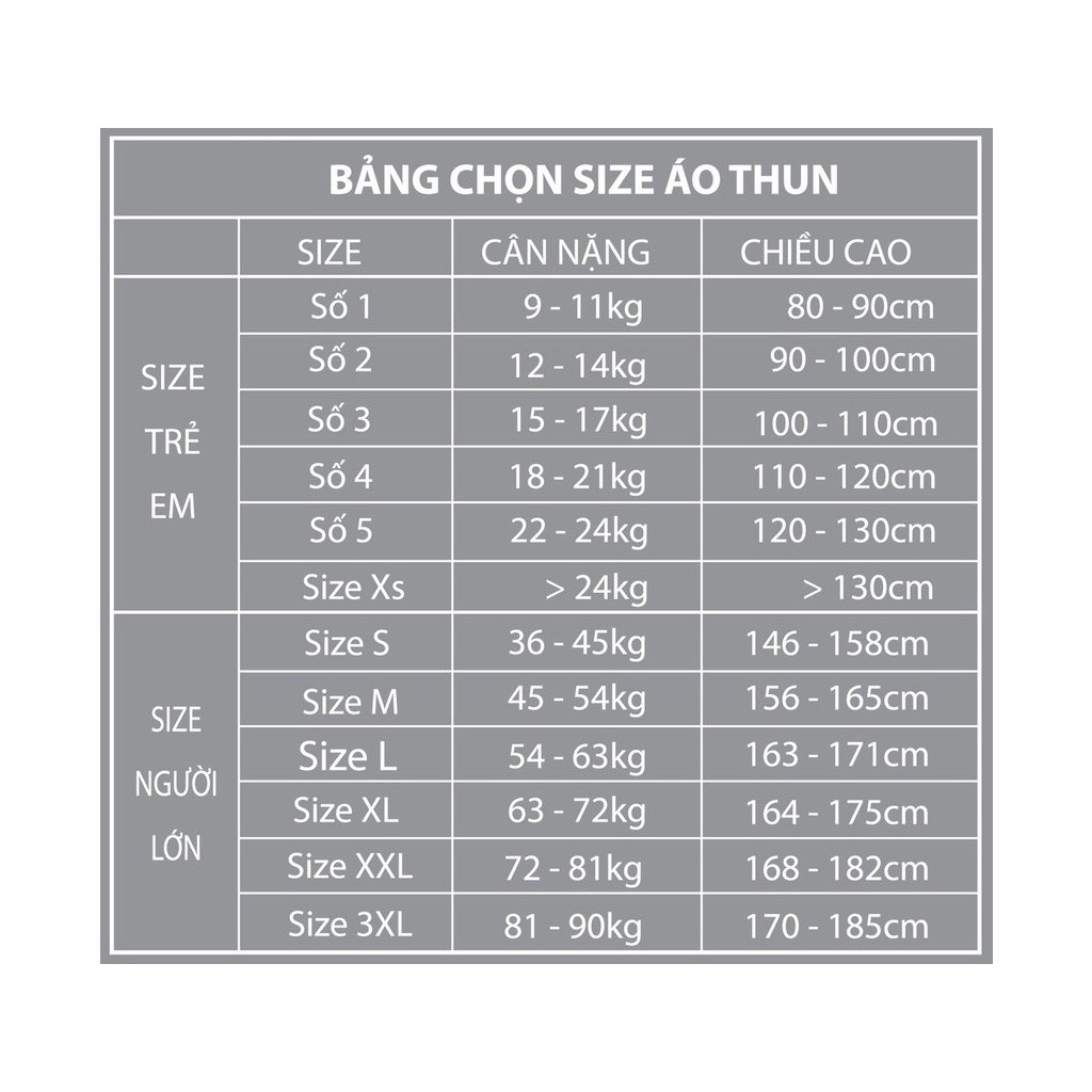 Áo phông gia đình in chữ NY trước sau, chất phông cotton co giãn