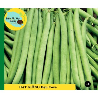 [Seeds] Hạt giống Đậu Cove Leo 4 mùa 50Gram