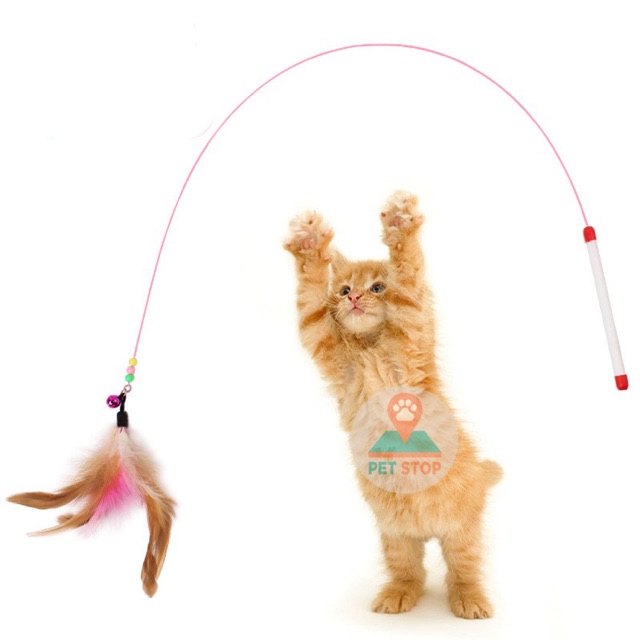 Đồ chơi mèo cần câu lông vũ kim loại