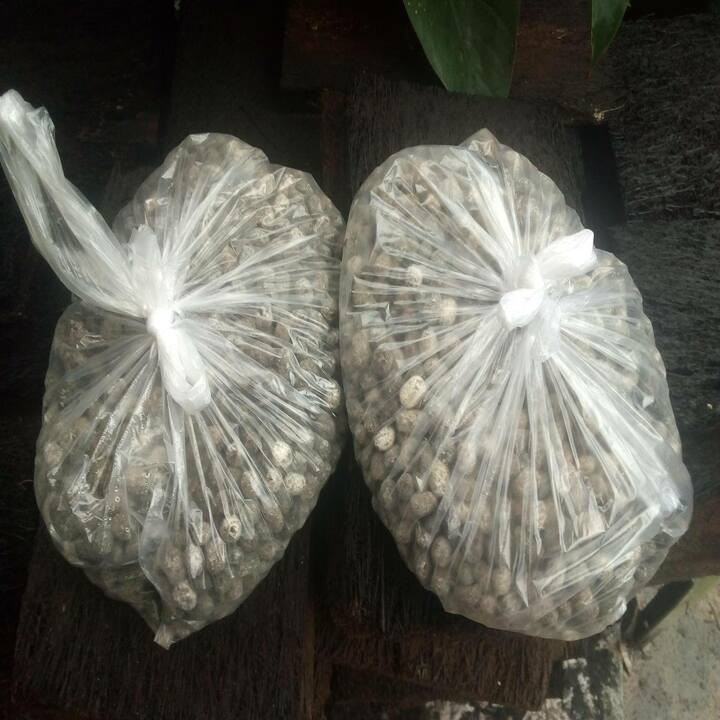 phân dê túi 1kg