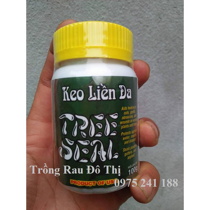 Keo đen liền da cây của Mỹ