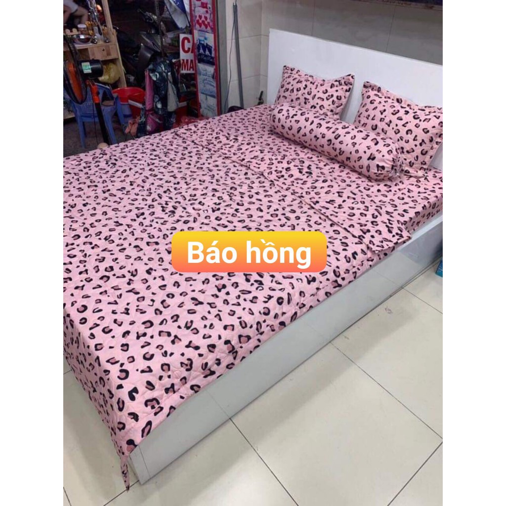 Bộ 5 Món Chăn Ga Gối Nệm Gam Màu Tươi Sáng Nổi Bật