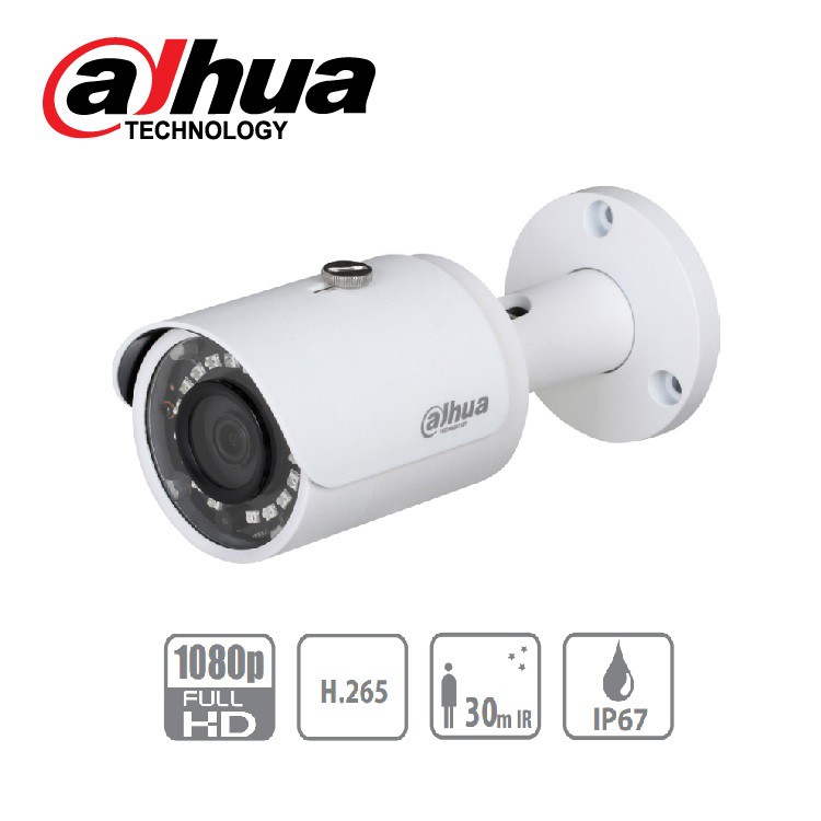 Camera IP hồng ngoại 2MP Dahua DH-IPC-HFW1230SP-S4 POE