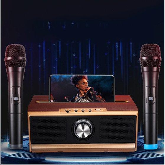 Bộ hát Karaoke 2 mic cao cấp UHF Wireless Microphone 2000mAh - Home and Garden