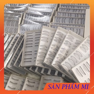 Mi tập nối 10 cặp