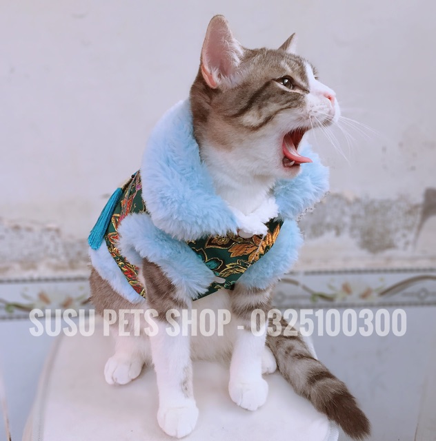 ĐỒ TẾT CHO CHÓ MÈO - GẤM TẾT TRUNG HOA