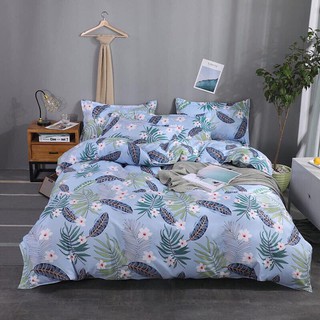 SET POLY NHẬP