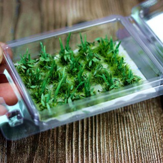 Bụi cây dại diorama