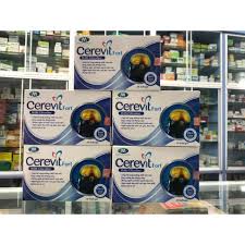 Viên Uống Bổ Não Cerevit Fort 30 Viên