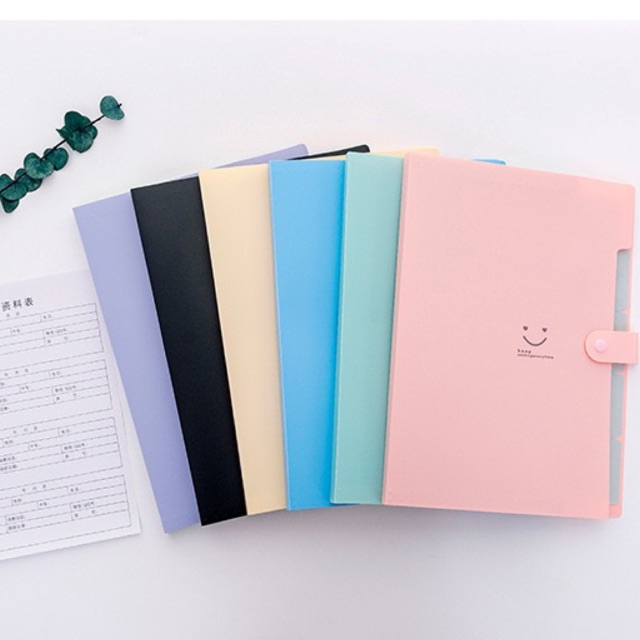 TÚI TỆP BÌA ĐỰNG HỒ SƠ TÀI LIỆU 5 hoặc 12 NGĂN SIÊU RẺ PASTEL SIZE A4 có nút bấm đựng giấy kiểm tra hình mặt cười