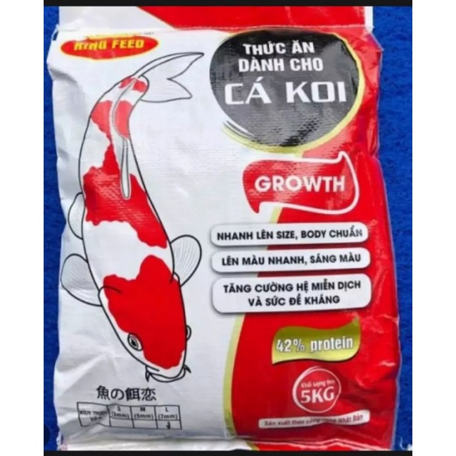 Guppy- Trang Trí Hồ - Nga Guppy