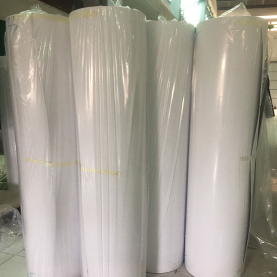 giấy rập trắng cứng
