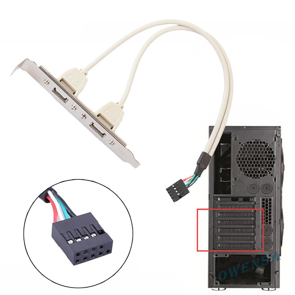 Cáp Chuyển Đổi 2 Cổng Usb 2.0 Sang 9 Pin Cho Pc