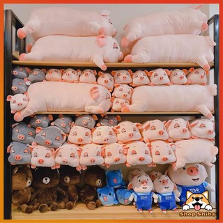 Gấu Bông Heo Lười Mắt Híp Size 70cm -