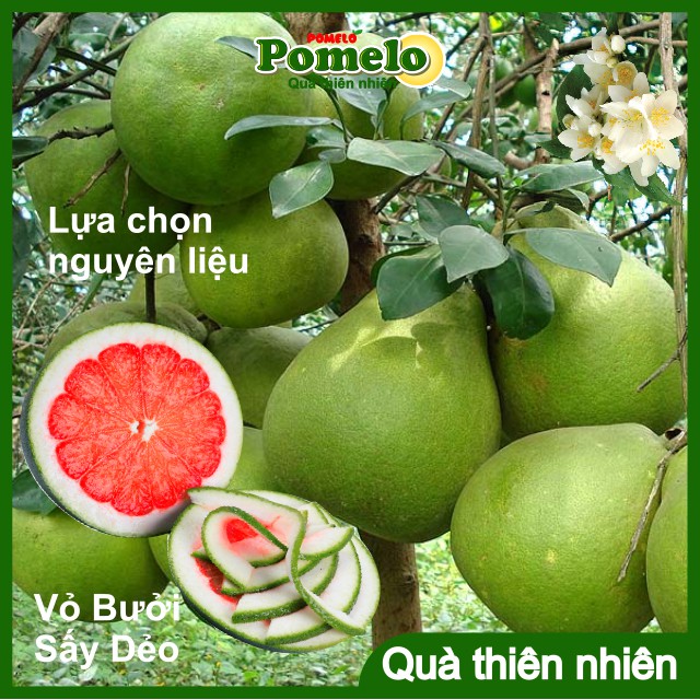 [CAO CẤP] Vỏ Bưởi Sấy Dẻo vị Chanh POMELO 500g, Dried Pomelo Peel, Trái Cây Sấy