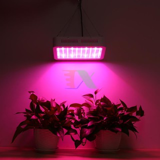 Đèn Led trồng cây 300W