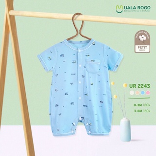 Body đùi Uala Rogo