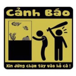 tranh 3D hồ cá