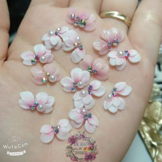 Set 40b hoa bột nail giá rẻ