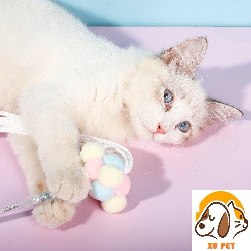 Que Trêu Mèo, Cần Câu Trêu Mèo Siêu Xinh - Đồ Chơi Cho Mèo