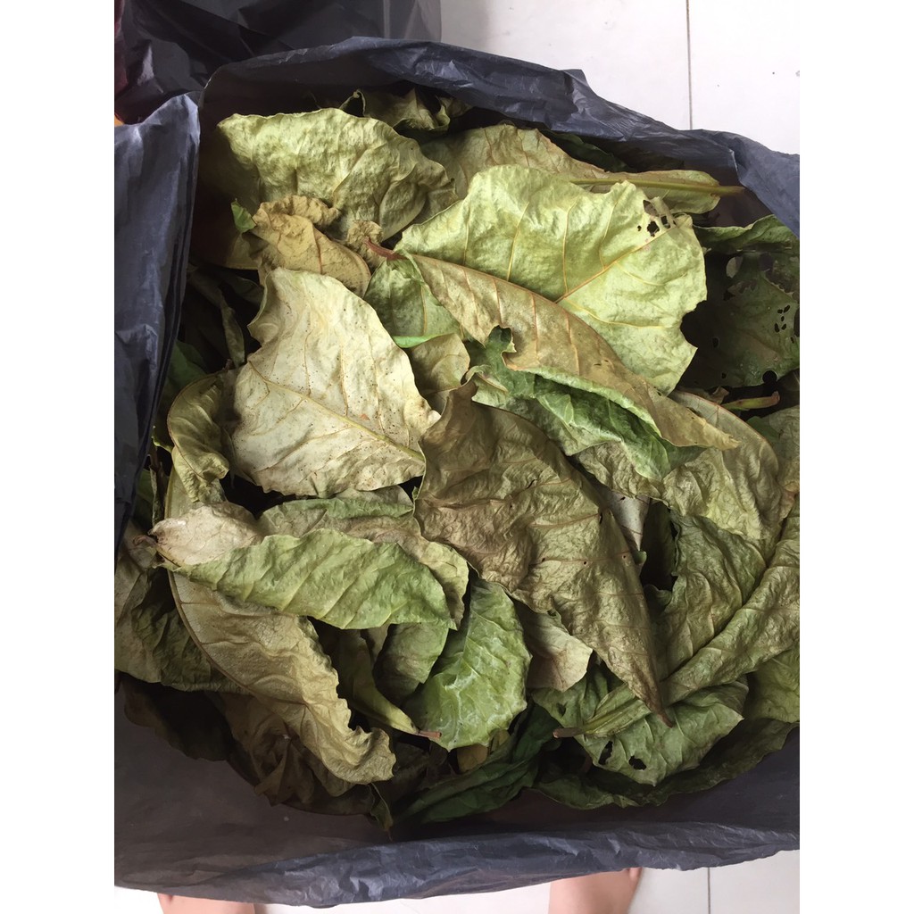 [PHƠI NẮNG TỰ NHIÊN - 100g 50 lá] 100g lá bàng khô giành cho bể cá cảnh: la hán, cá rồng, cá đĩa..