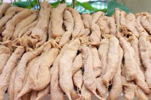 Củ cải muối Thần Bếp