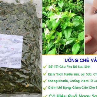 Chè vằng sẻ Nghệ An sao vàng hạ thổ