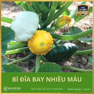 Hạt giống Bí Dĩa Bay Nhiều Màu- 1gr-Sen Vàng-Tỉ Lệ Nảy Mầm Cao, Thu Hoạch Quanh Năm, Ăn Ngon Ngọt, Tốt Cho Sức Khỏe