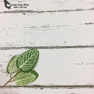 Lá cây giả - phụ kiện chụp hình sản phẩm