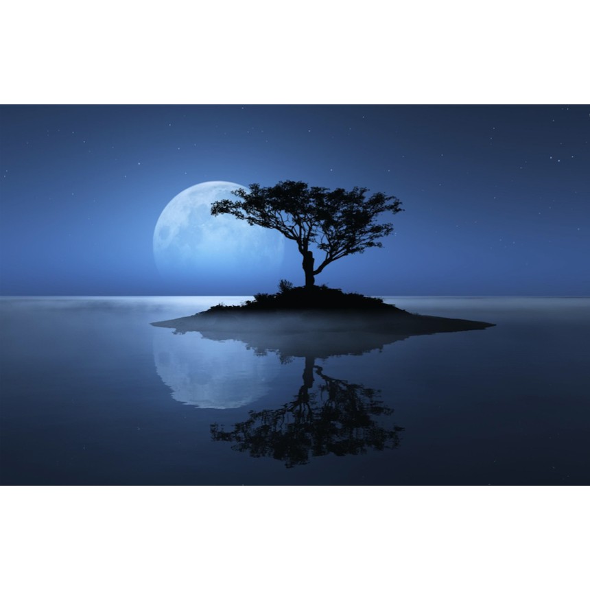 TRANH DÁN HỒ CÁ NHIỀU KÍCH THƯỚC_THIẾT KẾ NÀNG THƠ